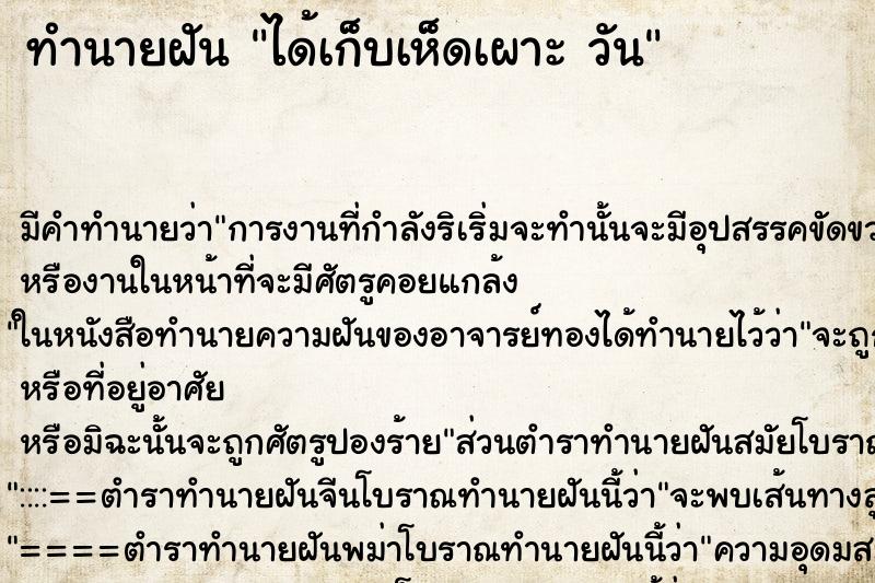 ทำนายฝัน ได้เก็บเห็ดเผาะ วัน ทำนายฝัน ได้เก็บเห็ดเผาะ วัน